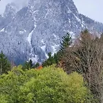 Sejour Solidaire- Cosy Aux Pieds Des Pistes * Bernex